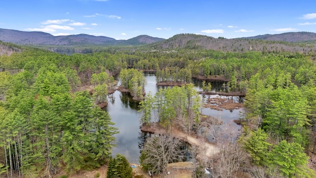aerial view featuring a water and mountain view and a forest view