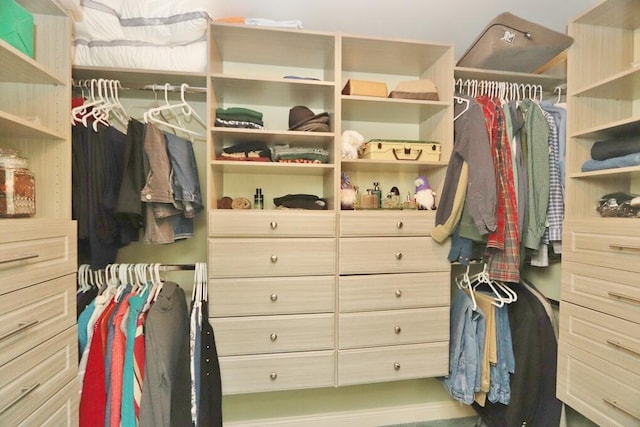 view of spacious closet