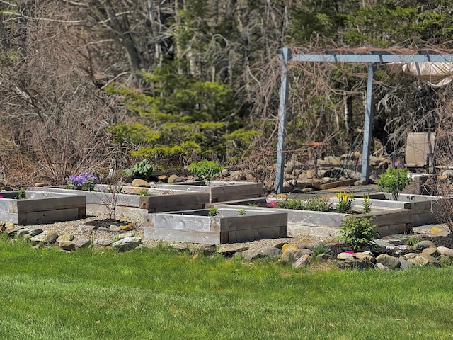 view of yard featuring a garden