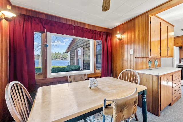 dining space featuring wood walls
