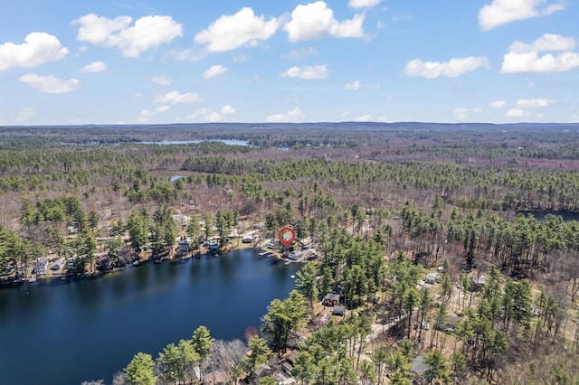 birds eye view of property featuring a water view and a forest view