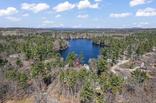 bird's eye view with a forest view and a water view
