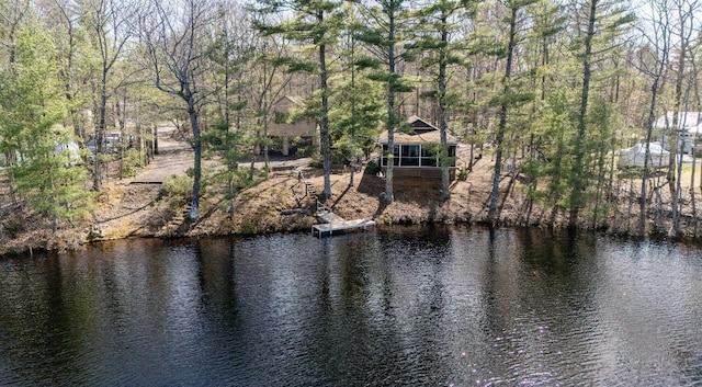 view of water feature