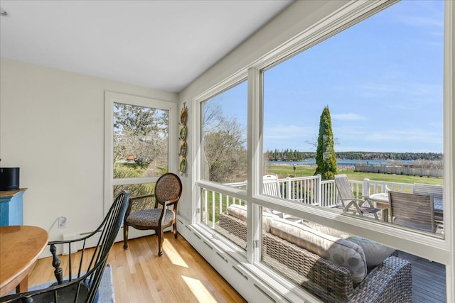 sunroom with wood finished floors