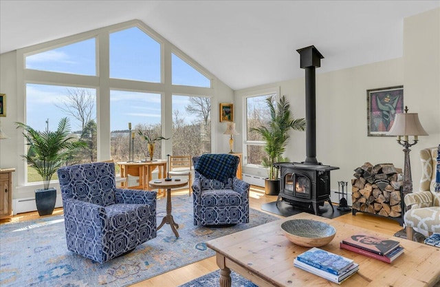 living room featuring a wood stove, lofted ceiling, and wood finished floors