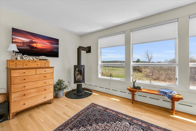 interior space featuring a wood stove and wood finished floors