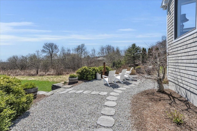 view of yard featuring a patio area