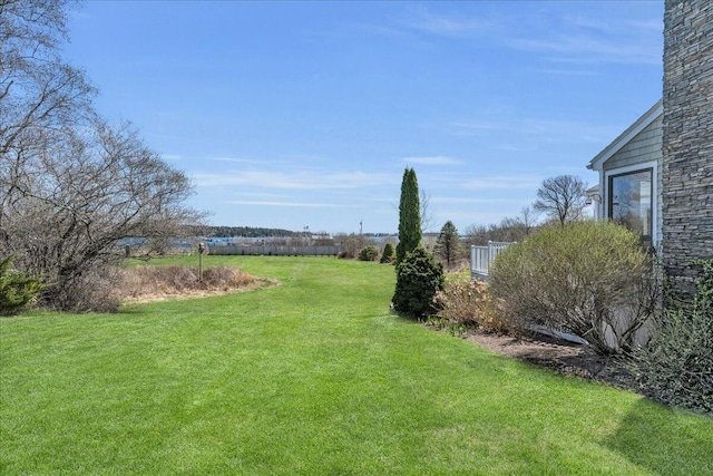 view of yard