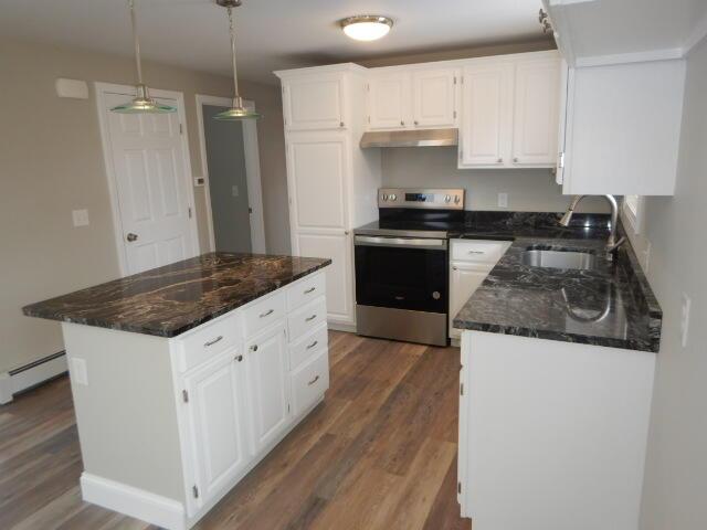 kitchen featuring dark wood-style floors, stainless steel electric range oven, under cabinet range hood, and a sink