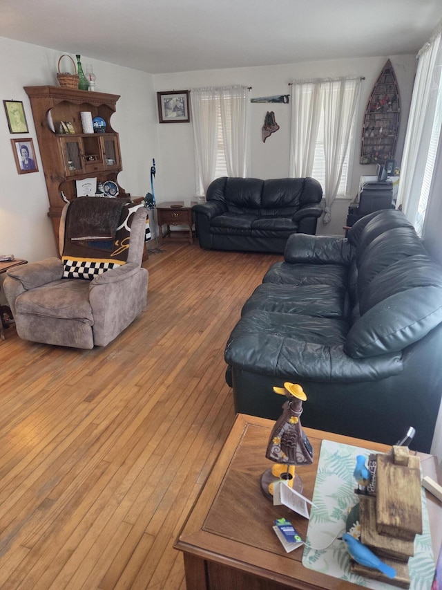 living room featuring wood-type flooring