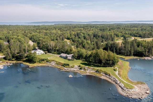 drone / aerial view with a wooded view and a water view