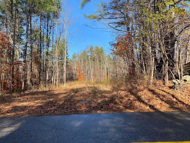 4-16 Tatnic Rd, Wells, ME 04090 - view of street