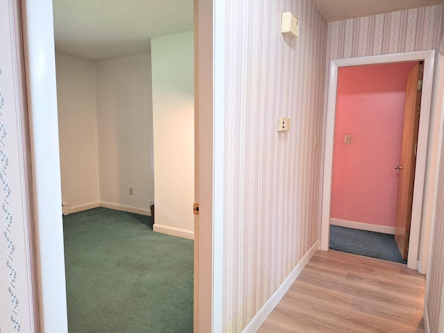 31 Arbor Ave, Topsham, ME 04086 - hallway featuring wallpapered walls and carpet floors
