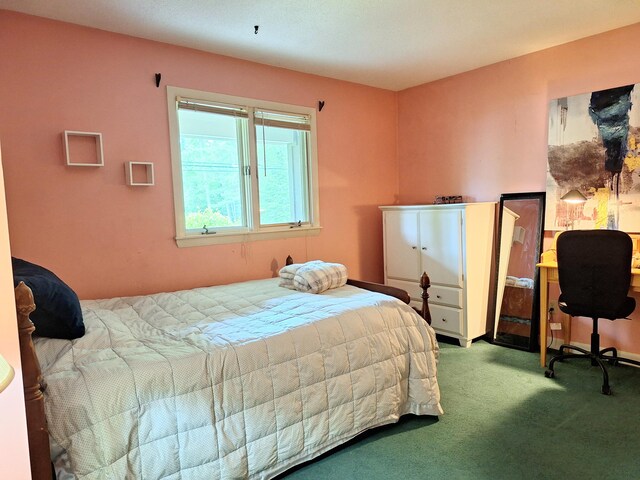 31 Arbor Ave, Topsham, ME 04086 - bedroom featuring carpet flooring