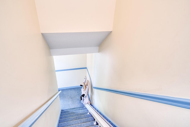 6 Seaside Dr, Belfast, ME 04915 - stairs with carpet floors