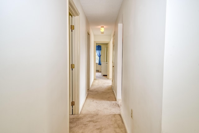 6 Seaside Dr, Belfast, ME 04915 - hall featuring light carpet