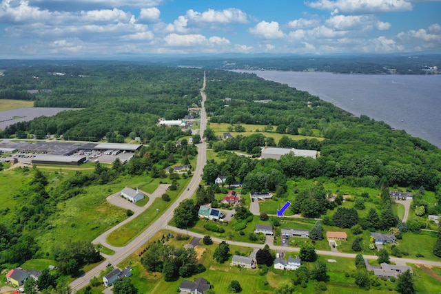 6 Seaside Dr, Belfast, ME 04915 - aerial view of a forest