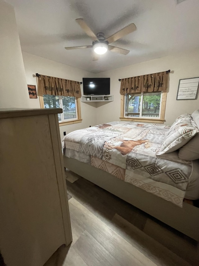 137 Maplewood Dr, Naples, ME 04055 - bedroom featuring multiple windows, light wood-type flooring, and ceiling fan