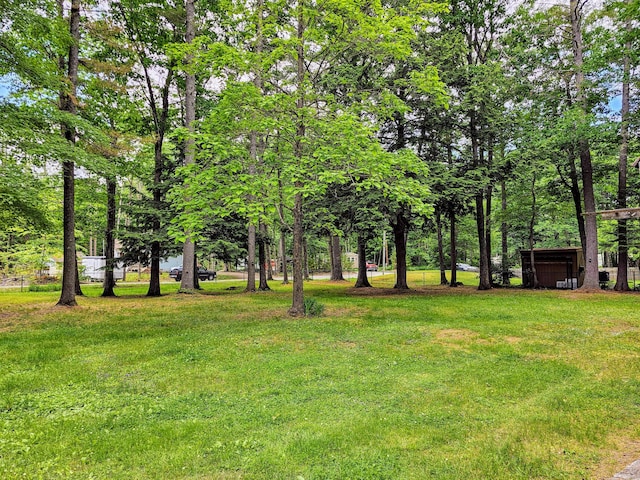 137 Maplewood Dr, Naples, ME 04055 - view of green lawn