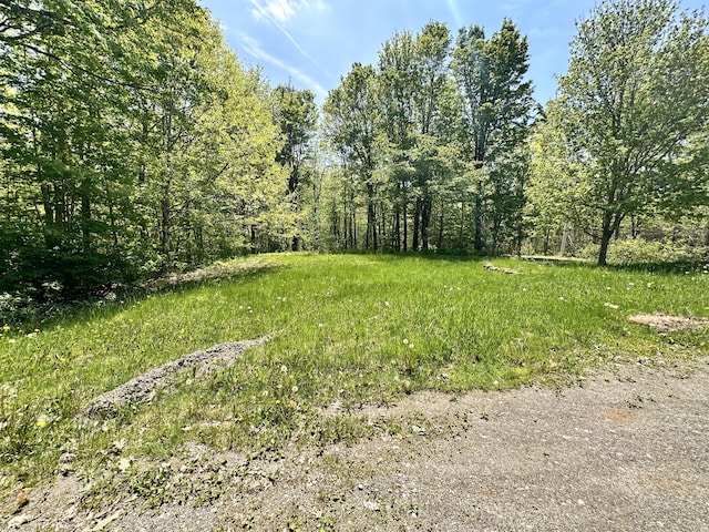 1057 Back Brooks Rd, Monroe, ME 04951 - view of yard