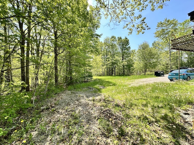 1057 Back Brooks Rd, Monroe, ME 04951 - view of yard with a view of trees
