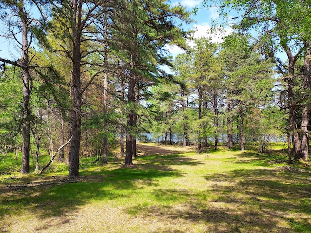 372 Pine Springs Rd, Shapleigh, ME 04076 - view of grassy yard