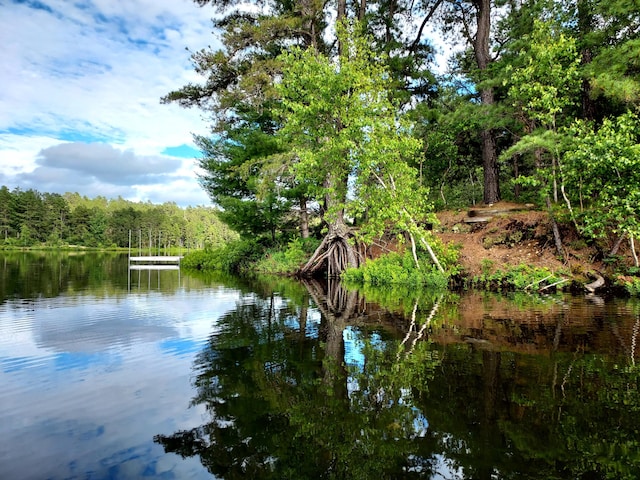 372 Pine Springs Rd, Shapleigh, ME 04076 - water view featuring a forest