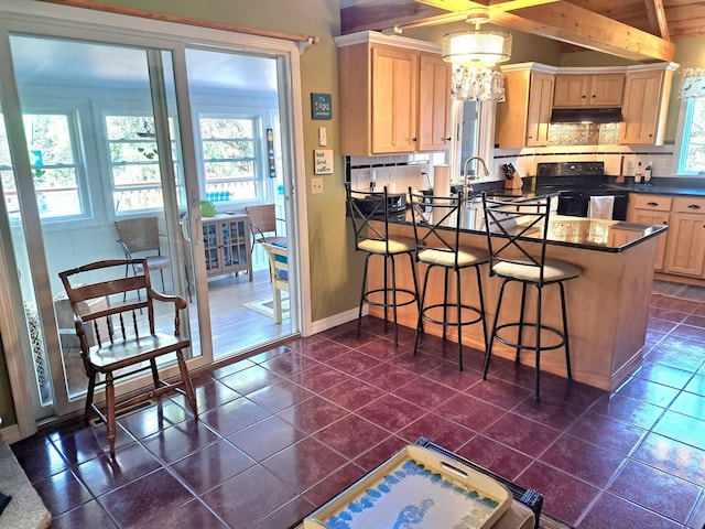 372 Pine Springs Rd, Shapleigh, ME 04076 - kitchen featuring electric range, under cabinet range hood, light brown cabinetry, and dark countertops