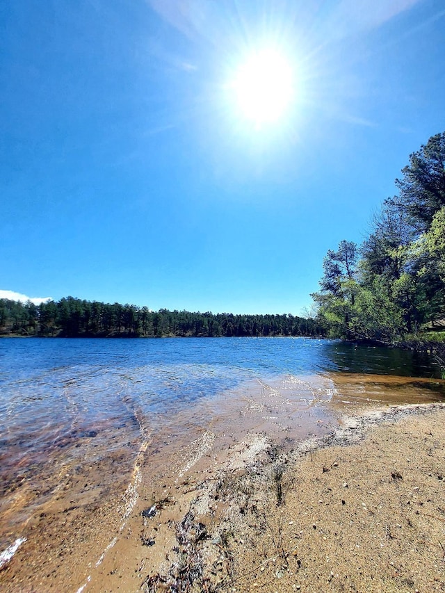 372 Pine Springs Rd, Shapleigh, ME 04076 - water view with a forest