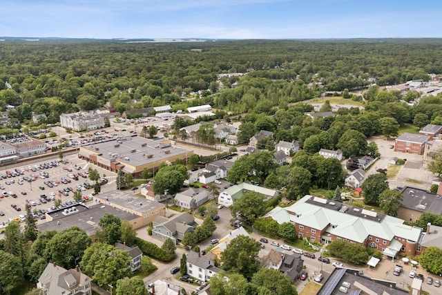 16 Everett St, Brunswick, ME 04011 - photo 59