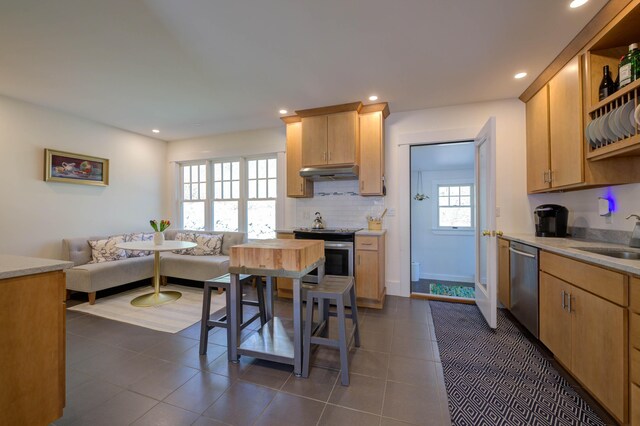 kitchen with under cabinet range hood, stainless steel appliances, recessed lighting, and a sink