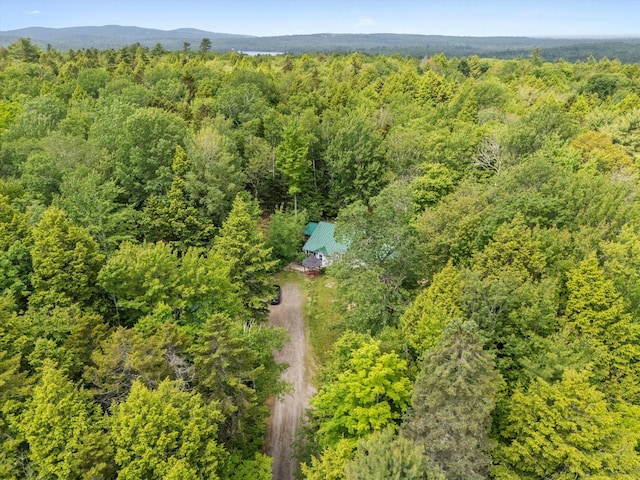 95 Hatcase Pond Rd, Eddington, ME 04428 - drone / aerial view of a heavily wooded area