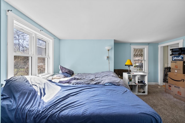 1654 Carl Broggi Hwy, Lebanon, ME 04027 - view of carpeted bedroom
