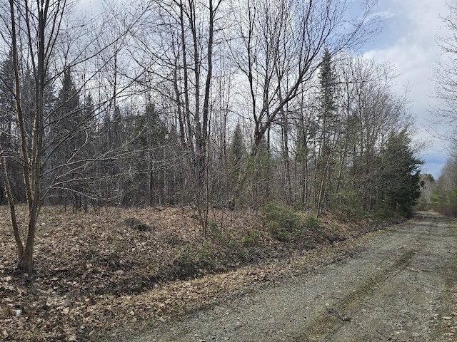 LOT74 Flagg Rd, New Sharon, ME 04955