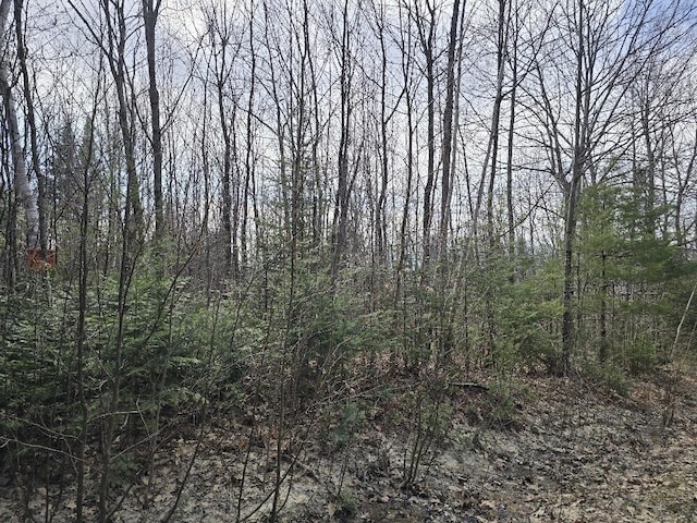 LOT74 Flagg Rd, New Sharon, ME 04955