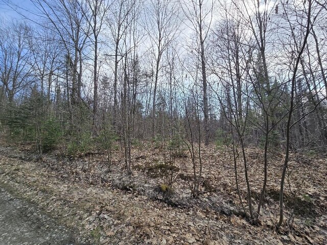 LOT74 Flagg Rd, New Sharon, ME 04955