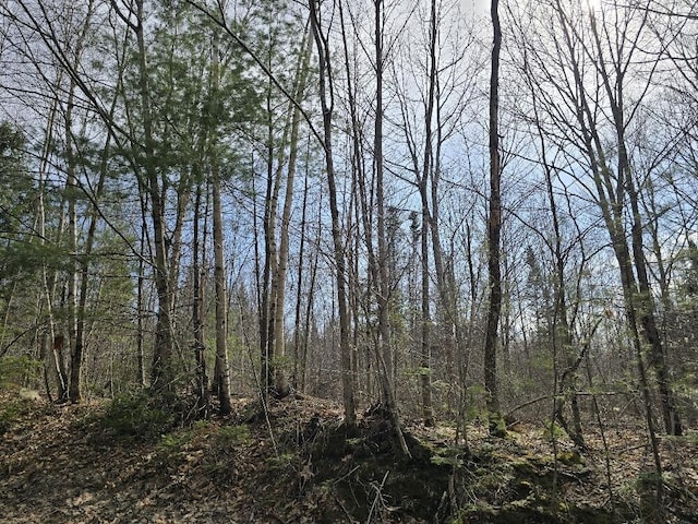 LOT74 Flagg Rd, New Sharon, ME 04955