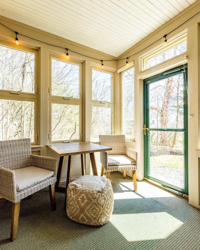 sunroom / solarium featuring carpet