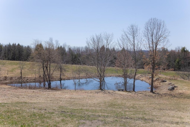 water view featuring a view of trees