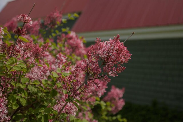 59 Chandler Rd, New Sharon, ME 04955 - photo 110