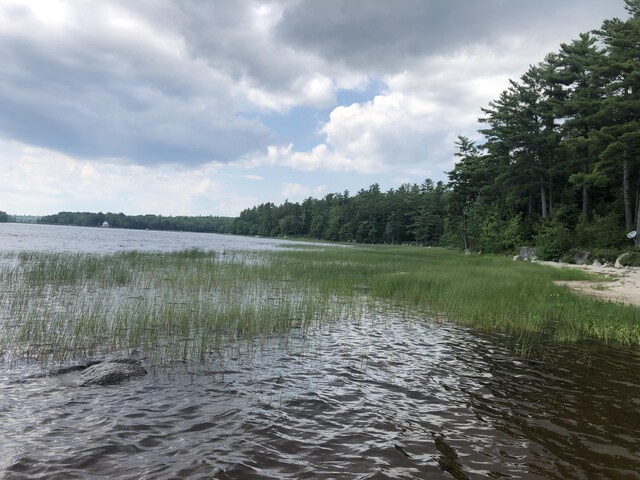 172 Alder Brook Ln, Waltham, ME 04605 - water view with a heavily wooded area