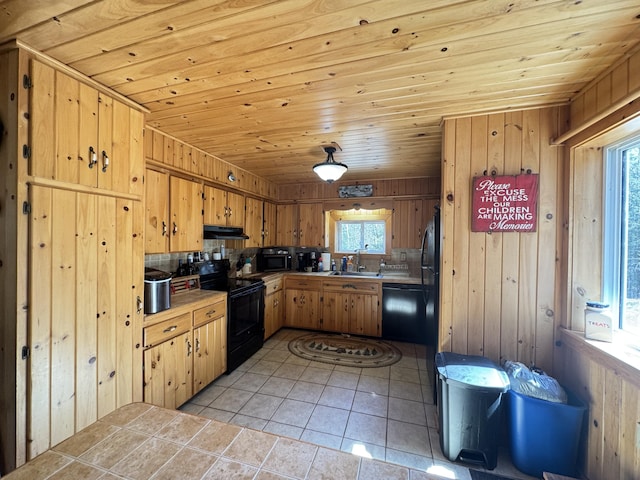172 Alder Brook Ln, Waltham, ME 04605 - kitchen featuring black appliances, under cabinet range hood, a sink, plenty of natural light, and wooden walls