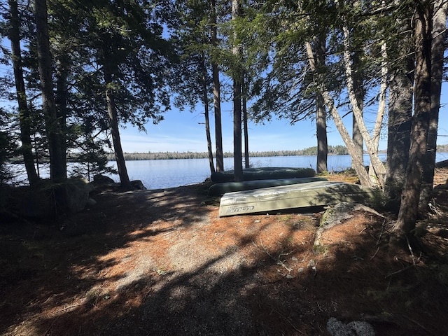 172 Alder Brook Ln, Waltham, ME 04605 - water view