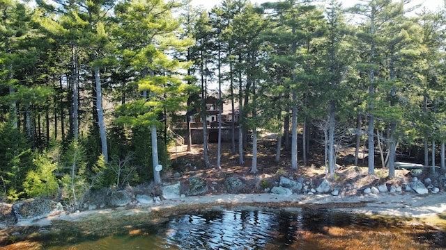 172 Alder Brook Ln, Waltham, ME 04605 - view of local wilderness