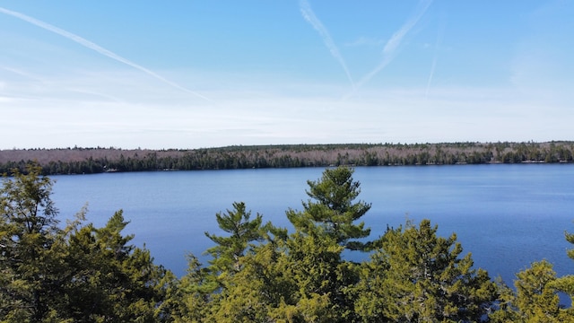 172 Alder Brook Ln, Waltham, ME 04605 - water view with a heavily wooded area