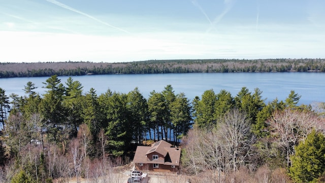 172 Alder Brook Ln, Waltham, ME 04605 - water view with a forest