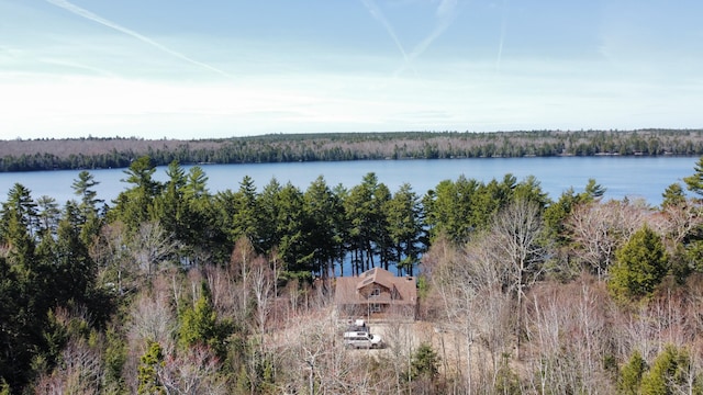 172 Alder Brook Ln, Waltham, ME 04605 - water view featuring a heavily wooded area