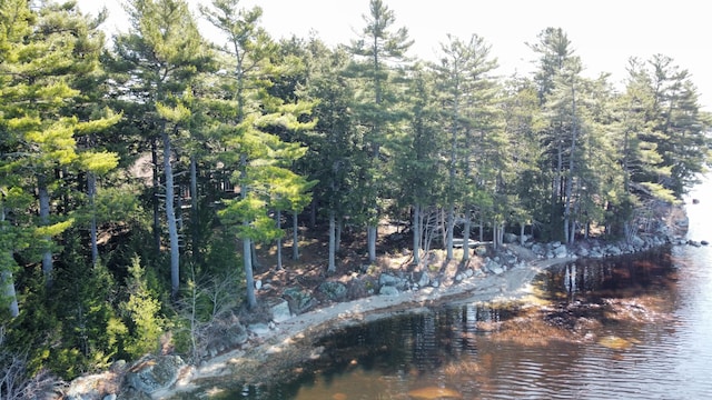 172 Alder Brook Ln, Waltham, ME 04605 - water view