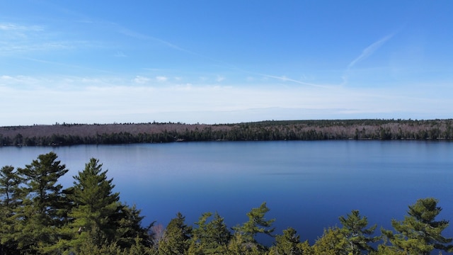 172 Alder Brook Ln, Waltham, ME 04605 - water view with a heavily wooded area