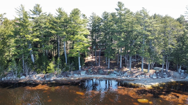 172 Alder Brook Ln, Waltham, ME 04605 - water view